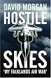 Hostile Skies