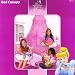 Disney Princess Bed Canopy Image
