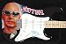 Search : JOE SATRIANI Autographed CUSTOM AIRBRUSHED Signed Guitar