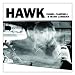Hawk