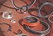 National Oil Seals 370047A Crankshaft Oil Seal