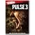 Pulse 3
