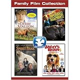 Dove Family Film Collection V.2 - 4-DVD Pack