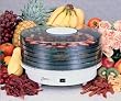 Deni Food Dehydrator Small Appliances Dehydrators