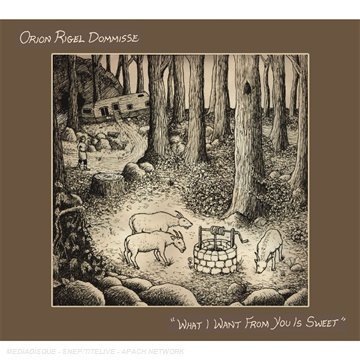 Orion Rigel Dommisse - What I Want From You Is Sweet (2007)