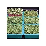 Microgreens Sprouts Growing Kit + 6 Unique Microgreens