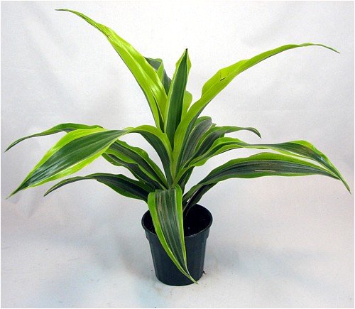 Garden Wagons Garden Wagons