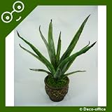 Review Deco-office  / 58cm Large Potted Artificial Aloe Vera Plant