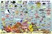 Franko's Curacao Reef Creatures Guide (Mini-map and Fish Card)