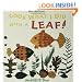 Look What I Did with a Leaf! (Naturecraft)