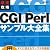 最速攻略 CGI/Perl サンプル大全集