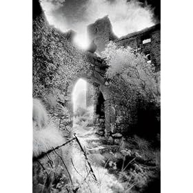 Poster Stratifi� Ballynalackan Castle Simon Marsden - Photo 61x91.5cm - Poster