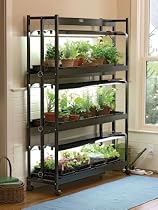 Big Sale Indoor Grow Light, 3-Tier Stand SunLite® Light Garden