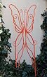 Orange Butterfly Trellis