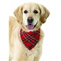 Karlie 31991 Halsband mit Tuch Scotland rot Kariert 25 mm 55 cm