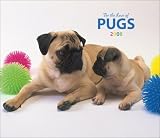 For the Love of Pugs 2008 Calendar