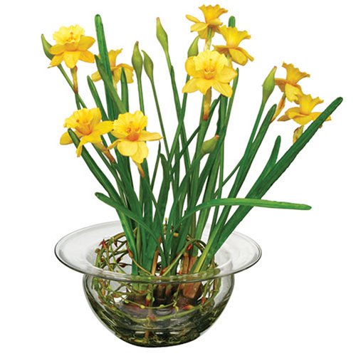 Birthmonth flower