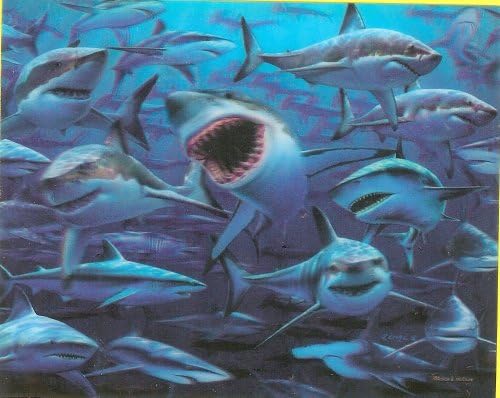 Dangerous Waters Visual Echo Puzzle Effects That Dazzle Your Eyes!