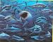 Visual Echo 3D Sharks - 