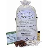 NaturOli Soap Nuts / Soap Berries. 4-Lbs USDA ORGANIC (960 loads) + 18X BONUS! (12 loads) Select Seedless, 4 Wash Bags, Tote Bag, 8-pg info. Organic Laundry Soap / Natural Cleaner. Processed in USA!