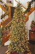 9' Green River Spruce Pre-Lit Artificial Christmas Tree - Clear Lights