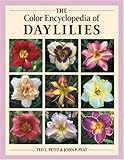 The color encyclopedia of daylilies