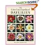 The Colour Encyclopedia of Daylilies [  The Color Encyclopaedia of Day Lilies ]