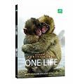 One Life: Special Earth Day Edition