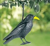 WENKO Vogelschreck Krähe