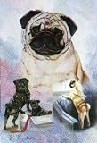 Pugs
