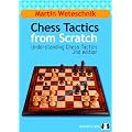 Chess Tactics from Scratch: Understanding Chess Tactics