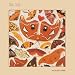 The Colour Of Spring (LP + DVD-Audio)