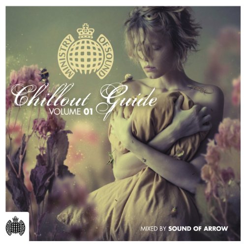 Produkt-Bild: Chillout Guide 2011