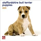 \"Staffordshire