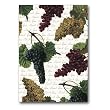 Thank You Script with Botanical Grapes - 5" x 7" Vellum Overlay Thank You Greeting Card