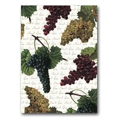 Thank You Script with Botanical Grapes - 5" x 7" Vellum Overlay Thank You Greeting Card