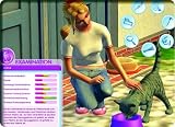 pawly pets my animal hospital (pc game)