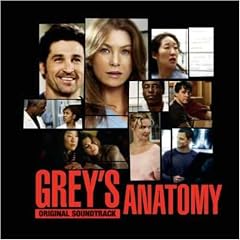 Grey S Anatomy Volume 1:Origin