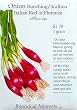 Bunching Onion Scallion Italian Red of Florence Heirloom Seeds 85 Seeds