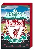 LIVERPOOL Football Club - Club Crest 20x30cm Photique Bloc
