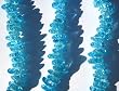 Glass Bead Chips, 12 Inch Turquoise Strand
