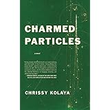 charmed particles a novel