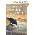 Awakening to the Spirit World: The Shamanic Path of Direct Revelation [With CDROM]