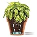 Santino Self Watering Planter Latina 9.2 Inch Shade Flower Pot with Bottom Watering and Water Level Indicator for Indoor/Outdoor use for All Plants, Flowers, Herbs