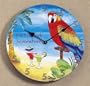 Paradise Parrot Clock ~ Margarita It's 5 O'clock Somewhere