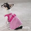East Side Collection Gingham Dresses - XX-Small