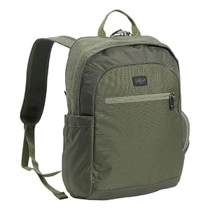 Buy Eagle Creek Travel Bug Day Travel Backpack