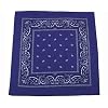 Bandana Biker Kopftuch royalblau-wei�