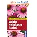 Welche Heilpflanze ist das?