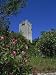 Benedictine Monastery, St. Marys Island, Mljet Island, Dalmatia, Croatia, Europe Phot...